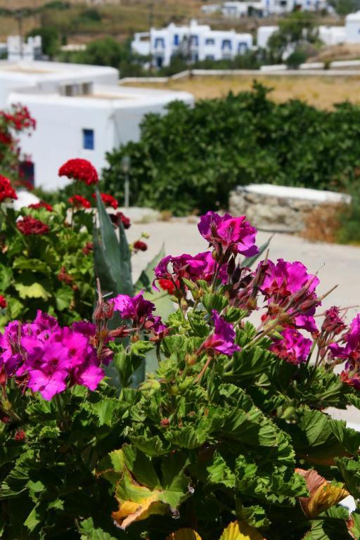 Camera Doppia con Letti Singoli con Vista Giardino